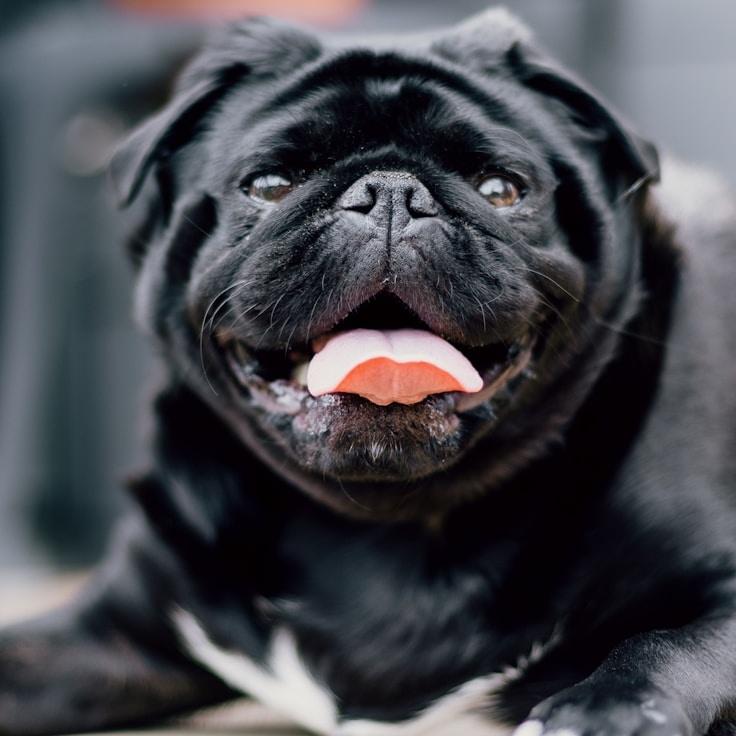 Portrait of Nova, group coordinator and fusion cooking expert